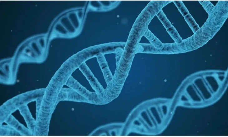 Google prezanton AlphaGenome/ IA që mund të parashikojë ndryshimet e ADN-së