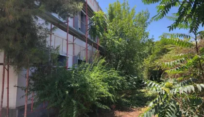 Hapësira e braktisur buzë Parkut të Artit në Kinostudio do të kthehet në kinema verore