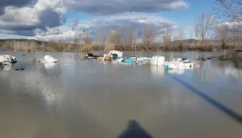 Hapja e portave të Hidrocentralit të Banjës, përmbytet landfilli i Kuçovës/ Fermeri: 100 derra të ngordhur