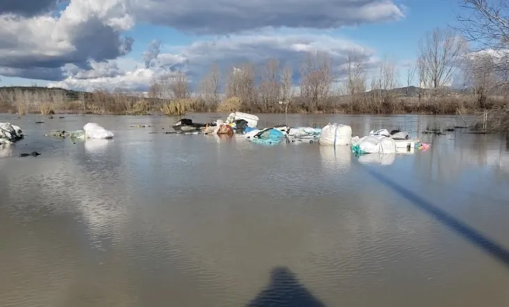 Hapja e portave të Hidrocentralit të Banjës, përmbytet landfilli i Kuçovës/ Fermeri: 100 derra të ngordhur