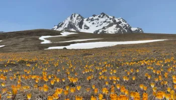 Harta e re e investimeve strategjike, nga majat e Korabit te Kurveleshi, qeveria shpall zonat prioritare