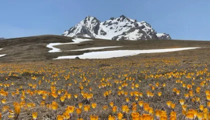 Harta e re e investimeve strategjike, nga majat e Korabit te Kurveleshi, qeveria shpall zonat prioritare