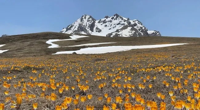 Harta e re e investimeve strategjike, nga majat e Korabit te Kurveleshi, qeveria shpall zonat prioritare