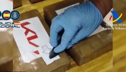 I kapen 200 kg “çunave të Spanjës”, shqiptarë, rusë dhe spanjollë në një rrjet ndërkombëtar kokaine nga Amerika Latine