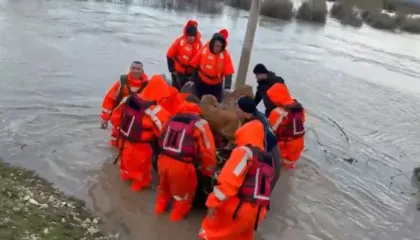 I moshuari në Novoselë evakuohet nga banesa e mbuluar nga uji, merr në prehër qenin dhe dhinë