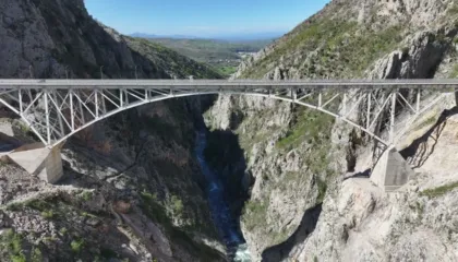 I riu tenton ti japë fund jetës, përpiqet të hidhet nga ura e Vashës