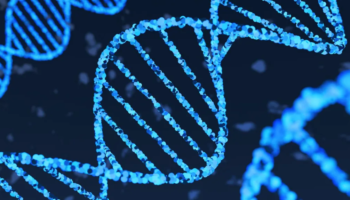 Inteligjenca Artificiale e Google mund të ndryshojë kuptimin e ADN-së dhe të sëmundjeve