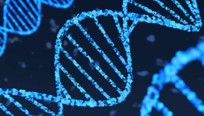 Inteligjenca Artificiale e Google mund të ndryshojë kuptimin e ADN-së dhe të sëmundjeve