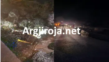 Kamionçina e përmbysur, pamje nga aksidenti me vdekje në Tepelenë (FOTO)