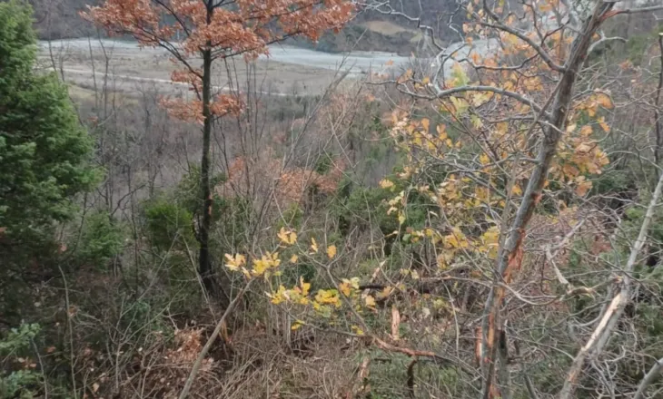 Kamioni bie në humnerë në Gramsh/ Humb jetën infermierja, shoferi dhe mësuesja në gjendje të rëndë