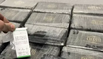 Kapen me 160 kilogramë kokainë, arrestohen dy shqiptarë në Bergamo