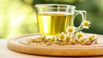 Këto janë bimët aromatike që luftojnë fryrjen e barkut