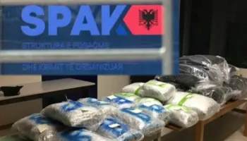 Kokainë përmes lëkurës së gjedhëve! SPAK dërgon për gjykim 10 persona për trafik ndërkombëtar