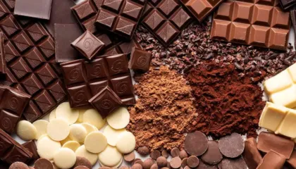 Konsumimi i tepërt i çokollatës, ja cilat janë dëmet që shkakton në organizëm