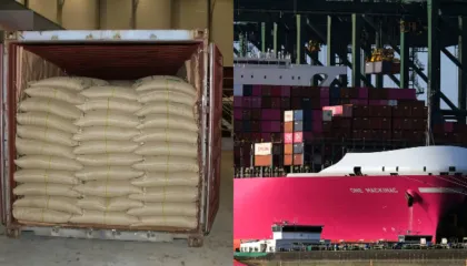 Kontejneri me 500 kg kokainë në Zvicër, si dështoi misioni i kontrabandës për 3 shqiptarët