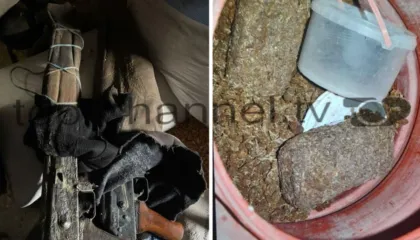 Kontroll blic në lokalin dhe banesën e të riut, zbulohet arsenal armësh dhe drogë në Fier
