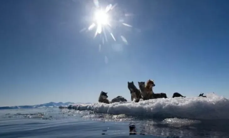 “Kufijtë nuk ndryshohen me forcë”/ Gjermania kundër Trump-it për Groenlandën