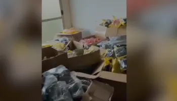 “Lacoste dhe Tommy Hilfiger”/ Zbulohet në Kamëz magazina ku stampoheshin veshje me logo false, arrestohet turku