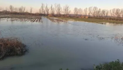 Lëmshi i kompetencave ‘përmbyt’ Shqipërinë! Mungesa e koordinimit bashki-pushtet qendror nxjerr zbuluar dështimin e institucioneve