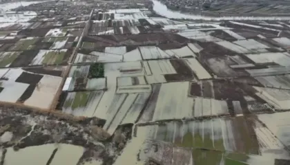 LIVE/ Pamje apokaliptike nga përmbytjet në vend. Situatë kritike në Gjirokastër dhe Durrës, qindra banesa nën ujë e familje të evakuuara