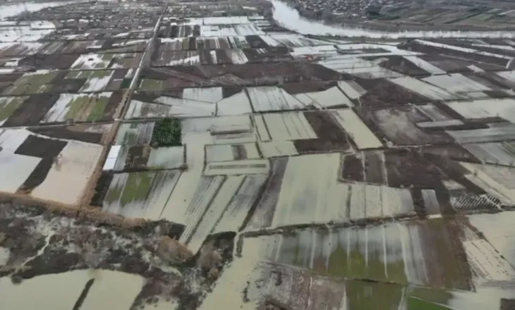 LIVE/ Pamje apokaliptike nga përmbytjet. Situatë kritike në Durrës, bllokohet Gjirokastër- Tepelenë. Protesta në Shkozet, qindra banesa nën ujë. Reagojnë Rama dhe Berisha