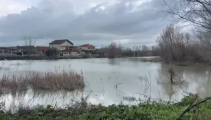 LIVE/ Shqipëria nën ujë, bllokime rrugësh Elbasan, mungon energjia në Gjirokastër. Përmbytje në Dimal. Berisha i përgjigjet Ramës