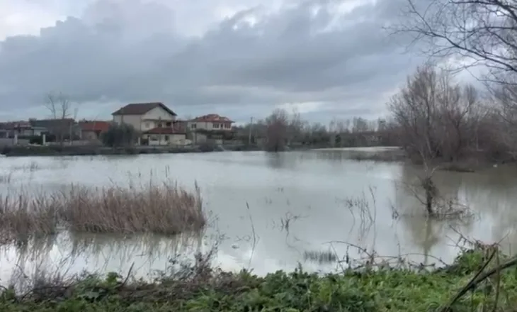 LIVE/ Shqipëria nën ujë, bllokime rrugësh Elbasan, mungon energjia në Gjirokastër. Përmbytje në Dimal. Berisha i përgjigjet Ramës