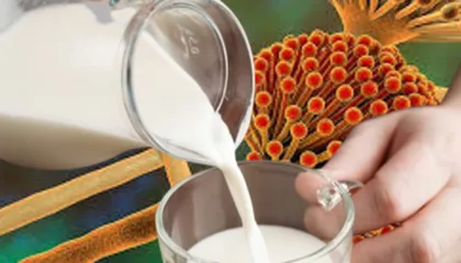 LUFRA refuzoi fermerët e Lushnjës! AKU: Qumështi rezultoi me aflatoksinë, vendim i duhur