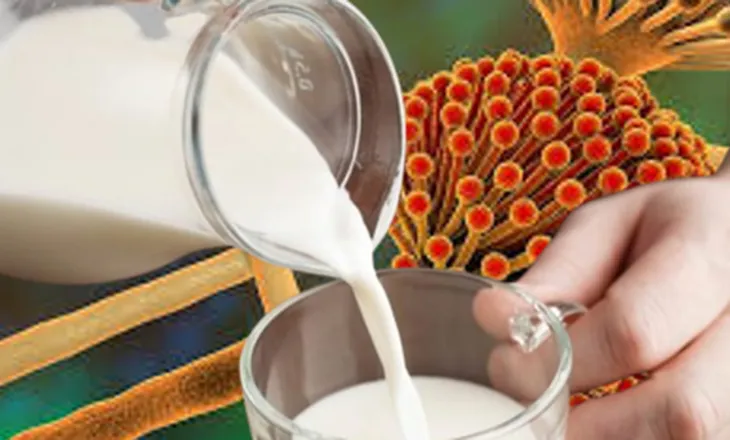 LUFRA refuzoi fermerët e Lushnjës! AKU: Qumështi rezultoi me aflatoksinë, vendim i duhur