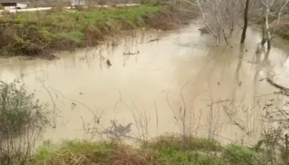 Lumi Ishëm del nga shtrati, përmbyten qindra hektarë toka bujqësore