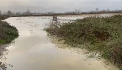 Lumi Ishëm del nga shtrati, situatë problematike në Fushë-Krujë/ Përmbyten qindra hektarë tokë, rrugë të bllokuara në.. (VIDEO)