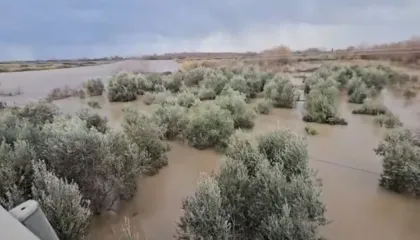 Lumi Shkumbin del nga shtrati, përmbyten banesa dhe toka bujqësore