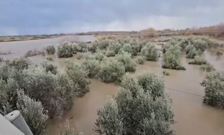 Lumi Shkumbin del nga shtrati, përmbyten banesa dhe toka bujqësore