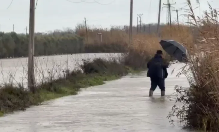 Lumi Shkumbin del nga shtrati, rreth 20 banesa të përmbytura në Lushnje, përmbytje nga Semani në Fier