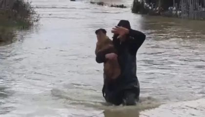 Lumi Vjosa del jashtë kontrollit, banori merr qenin në krahë dhe e shpëton nga mbytja