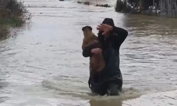 Lumi Vjosa del jashtë kontrollit, banori merr qenin në krahë dhe e shpëton nga mbytja