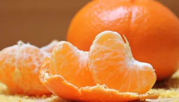 Mandarina apo portokall, cili frut ka më shumë lëndë ushqyese