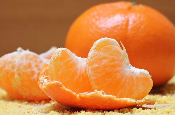 Mandarina apo portokall, cili frut ka më shumë lëndë ushqyese