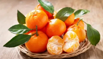 Mandarinat kanë vetëm 35 kalori: Pse janë të mira për shëndetin tonë?