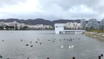 Mbushet Liqeni Artificial i Tiranës, 40 cm larg pikës maksimale/ Ka nisur shkarkimi automatik