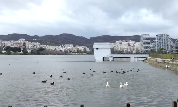 Mbushet Liqeni Artificial i Tiranës, 40 cm larg pikës maksimale/ Ka nisur shkarkimi automatik