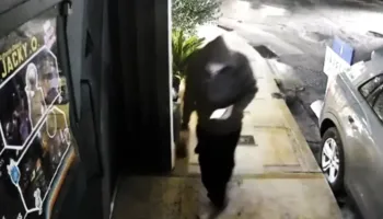 Me kapuç, maskë dhe bombën në dorë, zbulohet momenti kur shqiptari hedh në erë diskon në Athinë