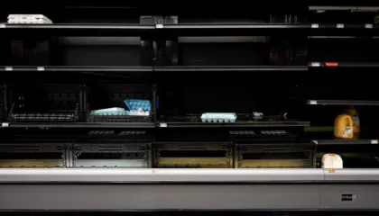 Më pak vezë, bukë dhe ujë në dyqane, blerësit në SHBA nxitojnë të furnizohen para stuhisë