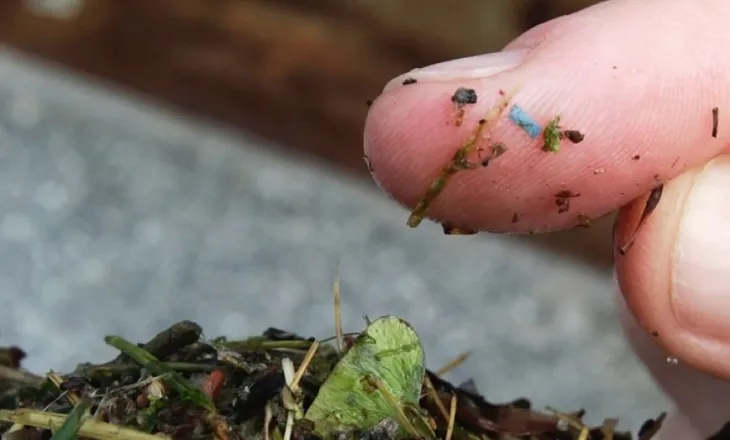 Më shumë mikroplastikë gjenden në pyjet rurale sesa në qendër të qytetit – ekspertët paralajmërojnë për rreziqe shëndetësore