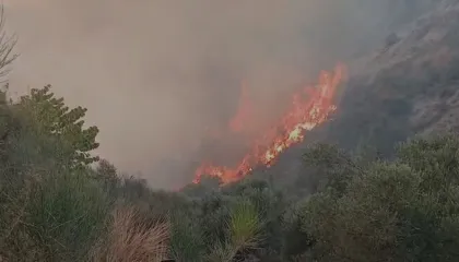 Ministria e Mbrojtjes: Mbi 345 milionë lekë për të dëmtuarit nga zjarret e verës