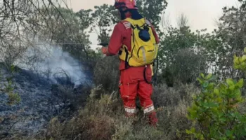 Ministria e Mbrojtjes: Shpërndahen mbi 345 milionë lekë për të dëmtuarit nga zjarret e verës