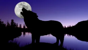 Mos harroni të shihni ‘Hëna e Ujkut’/ Viti i Ri nis me ‘spektakël qiellor’, cila shenjë e horoskopit do të preket