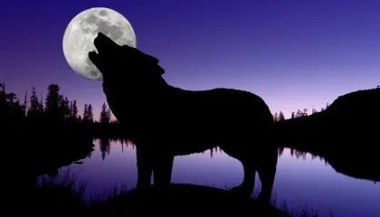 Mos harroni të shihni ‘Hëna e Ujkut’/ Viti i Ri nis me ‘spektakël qiellor’, cila shenjë e horoskopit do të preket