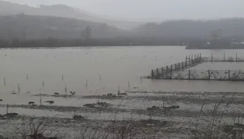 Moti i keq/ 10 fshatra pa energji elektrike në Berat, Osumi përmbyt dhjetra hektarë