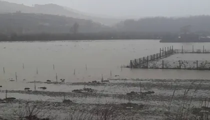 Moti i keq/ 10 fshatra pa energji elektrike në Berat, Osumi përmbyt dhjetra hektarë